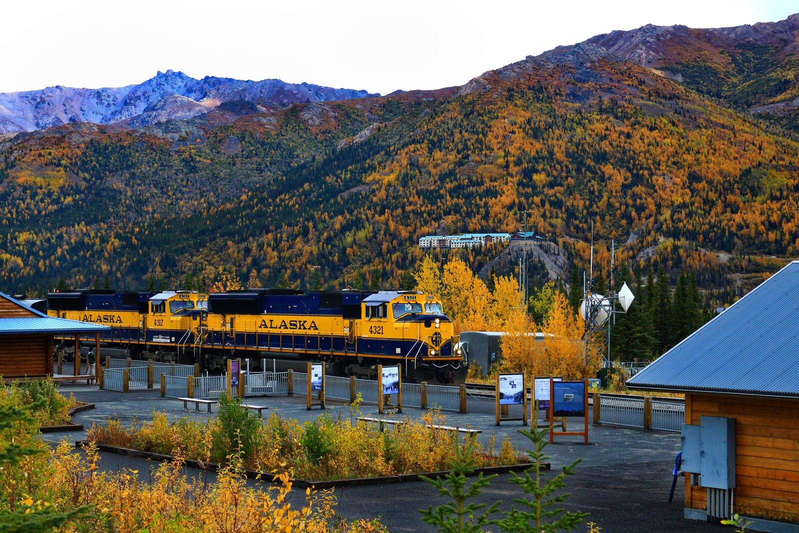 Denali Express Tour, Cruise Excursion Add On