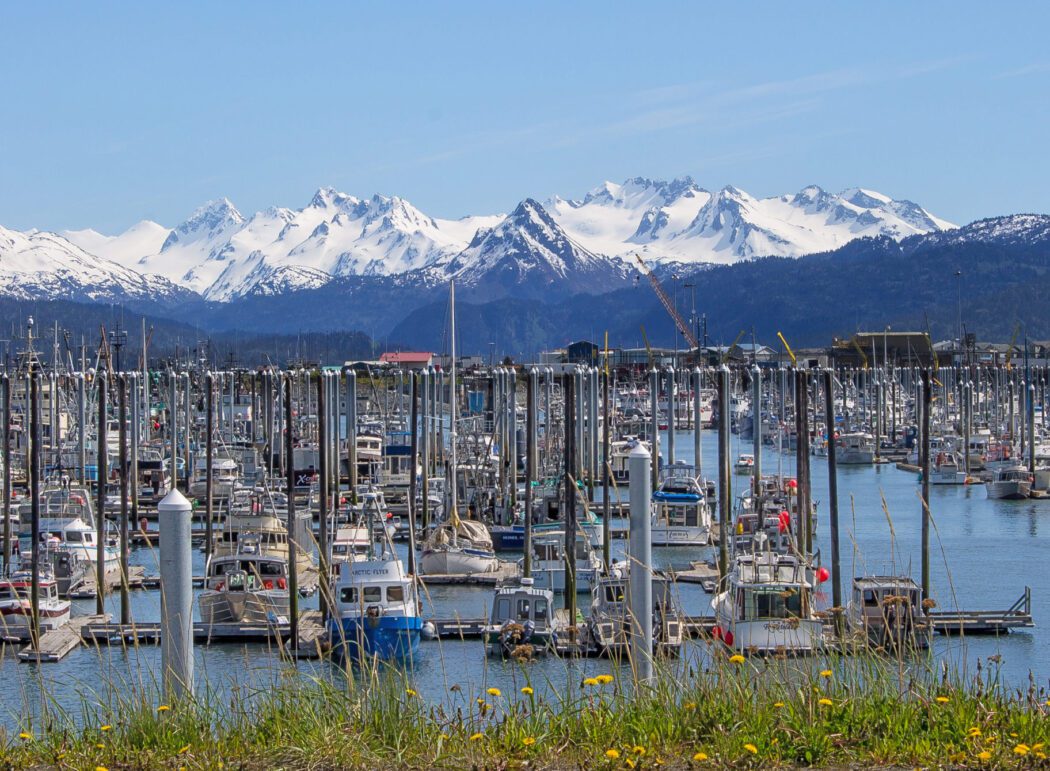 a harbor with fishing boats and mountains in the background