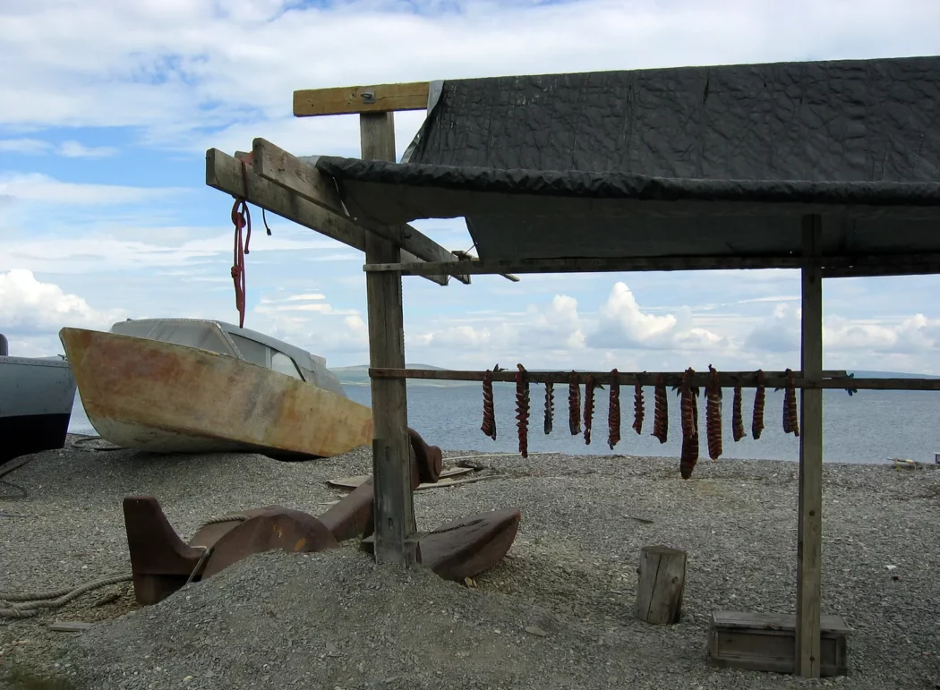 a fish rack with drying fish and an old boat on a beach