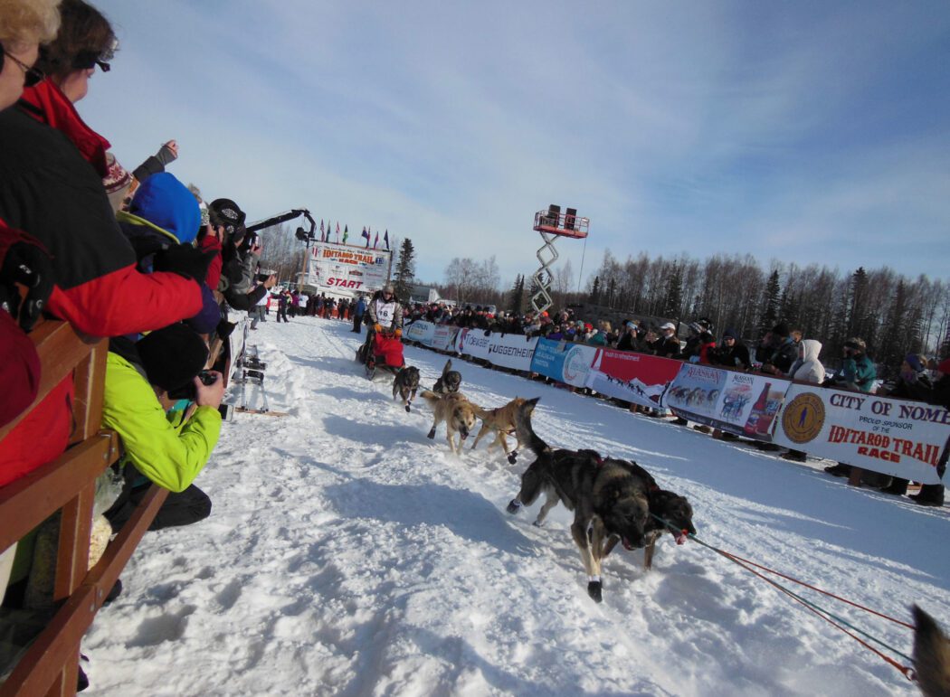 people along a fence photographing a sled dog team starting out of the gate for the official start of the Iditarod