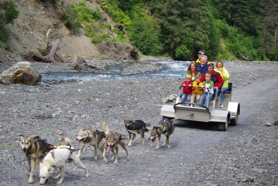 a sled dog team pulling a family in a cart during the summer