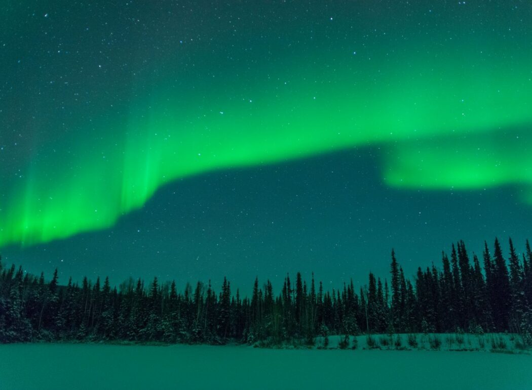 green bands of aurora over a boreal forest and a snowy clearing