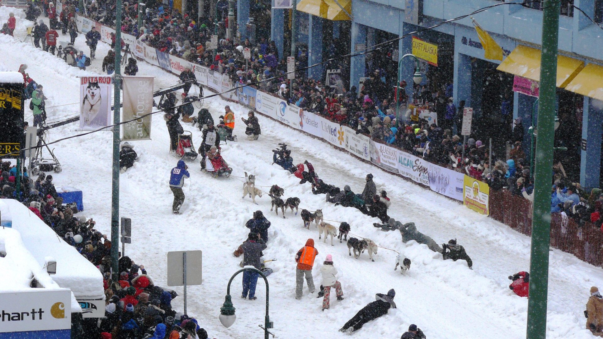 Three Unbelievable Facts About Alaska's Iditarod Race Alaska Tours