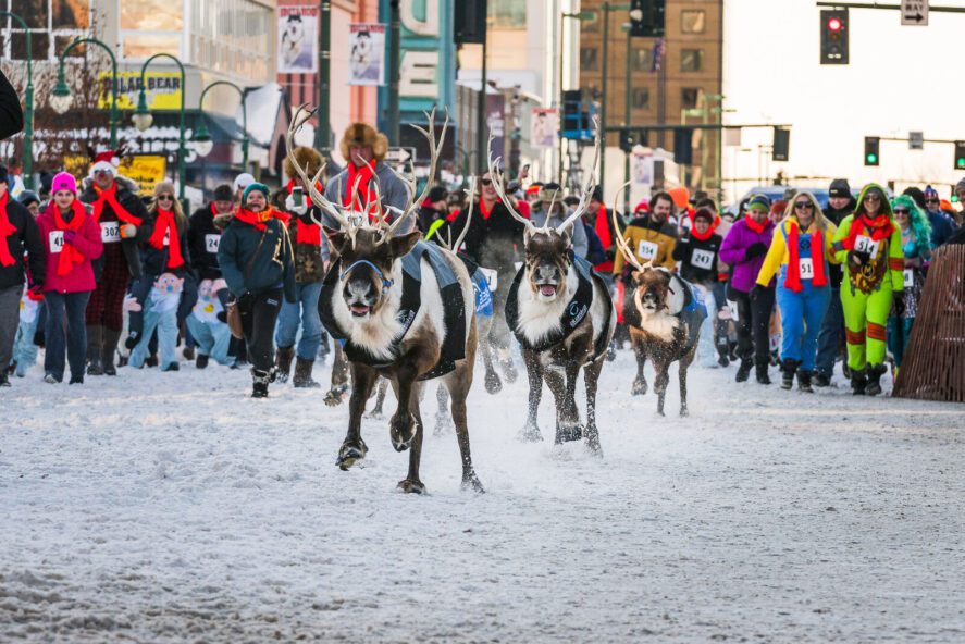 The Running of the Reindeer is one of the most popular events of the annual Anchorage Fur Rendezvous, a winter festival taking place over two weekends in February and March.
