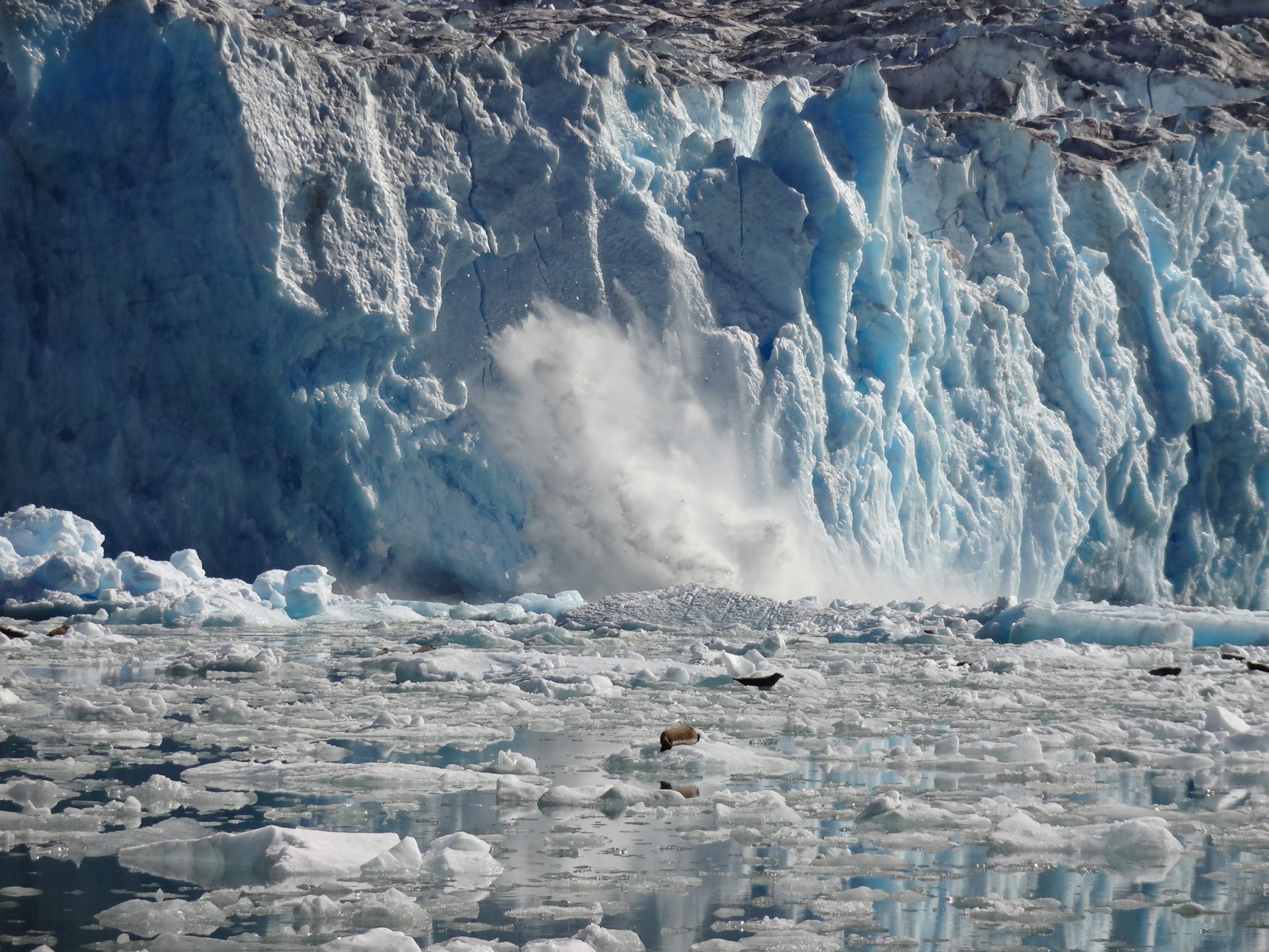 Alaska Glaciers | Glacier Cruises | Alaska Tours