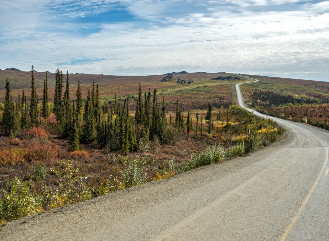 a highway winding through sparse spruce forest and tundra landscape in summer