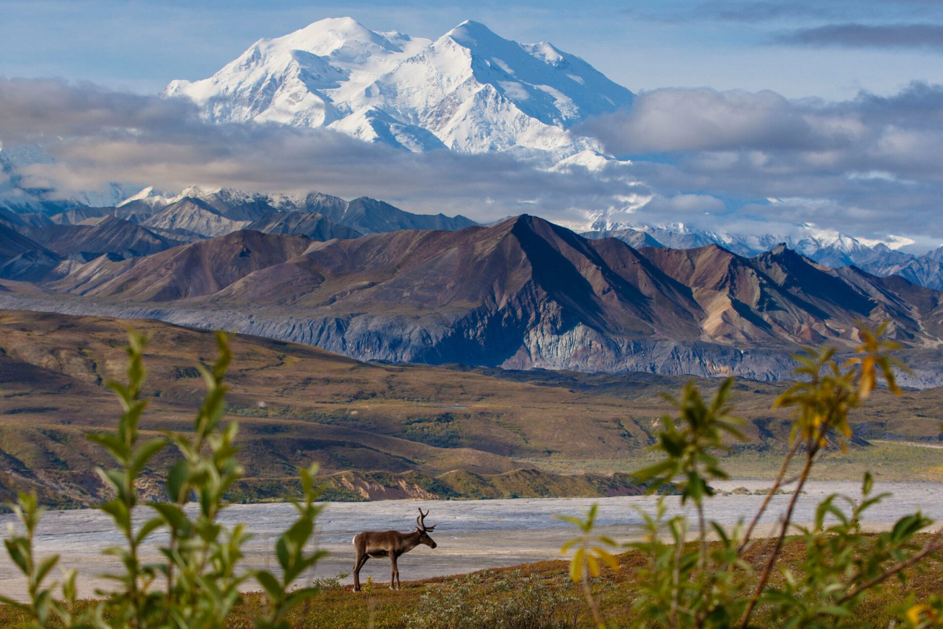 tour packages to alaska