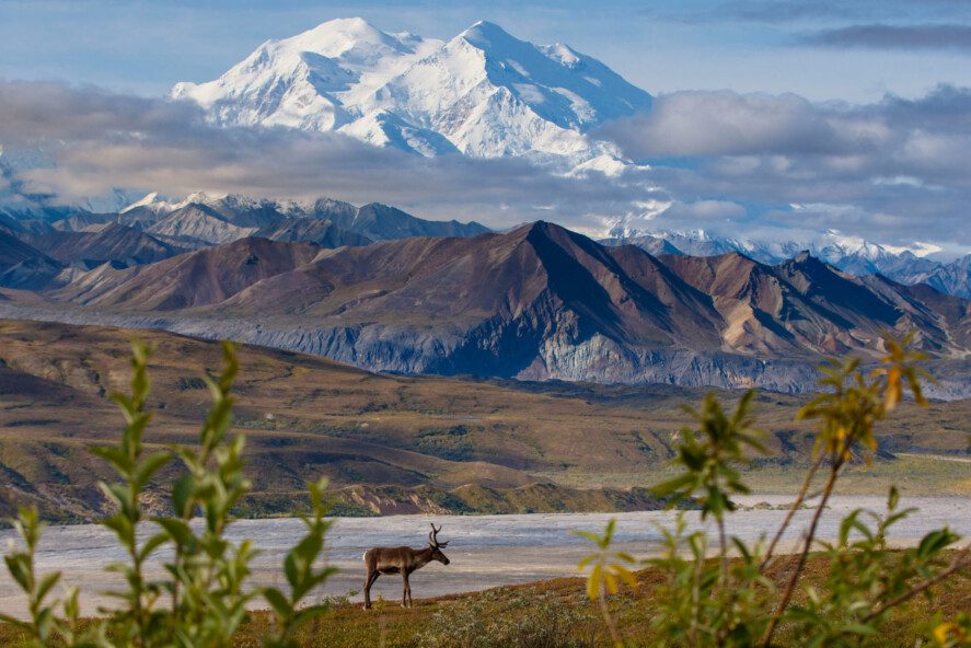 Enjoy Land Tour Packages Alaska Tours