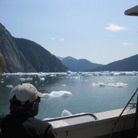 Day cruises bring you up-close to glacier ice and wilderness coastline.