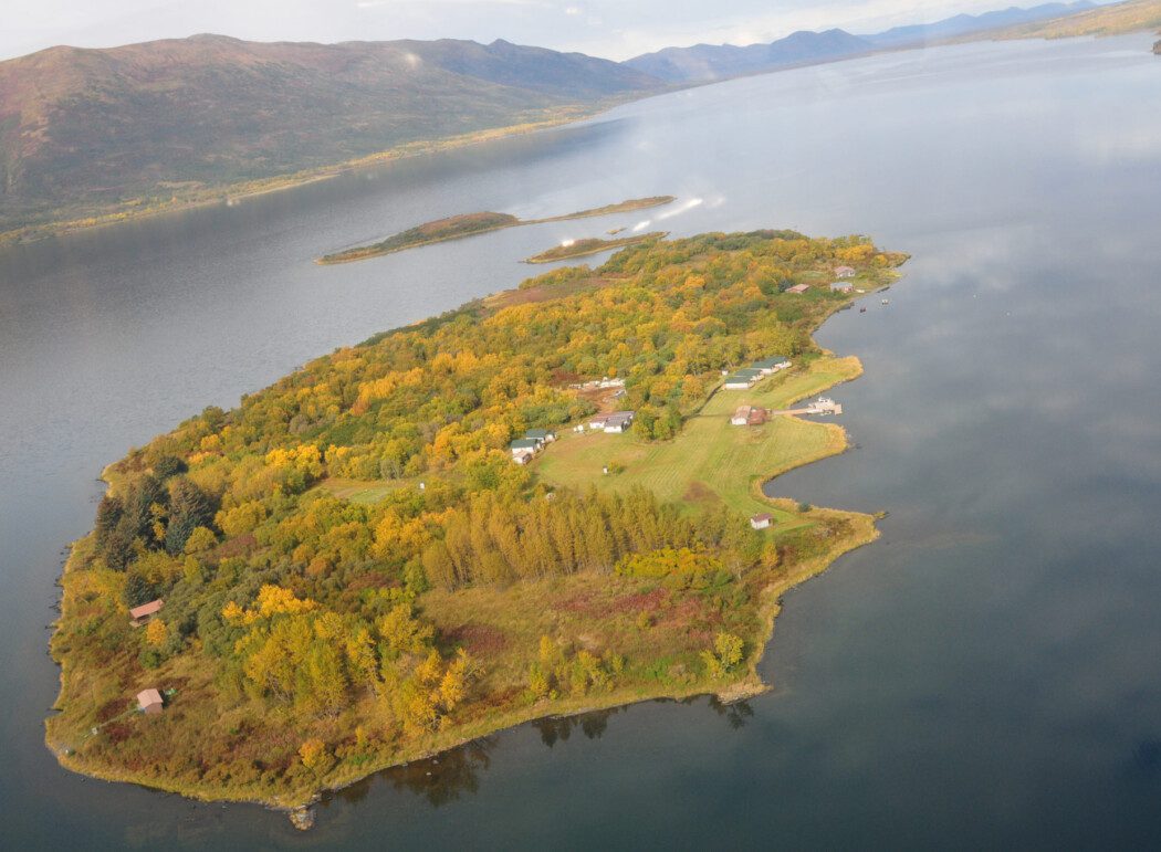 an aerial view of an island in a large lake with trees and cabins on it