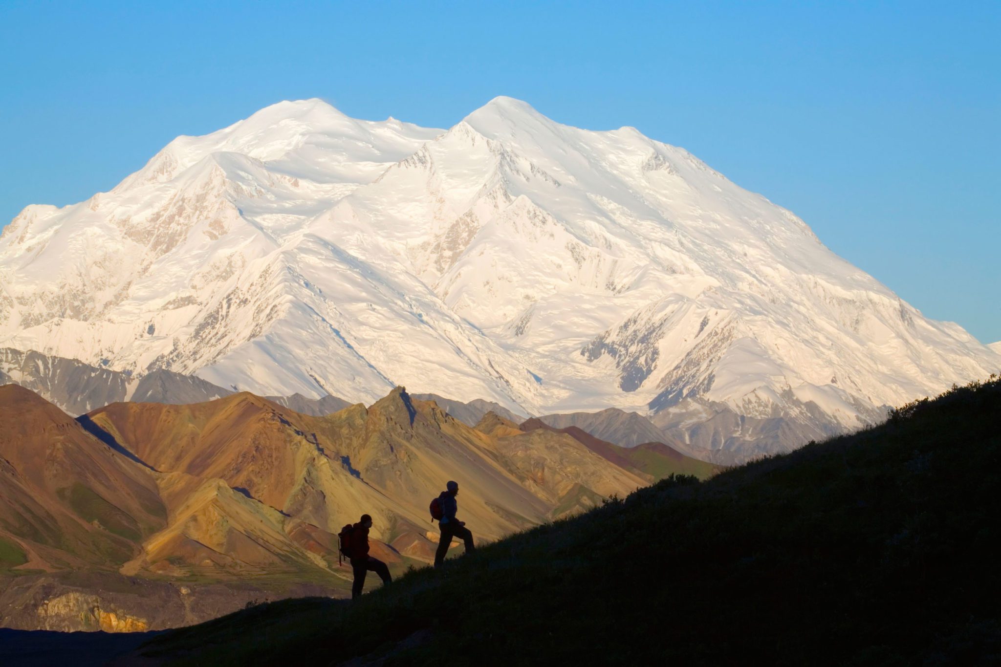 tours of denali from anchorage