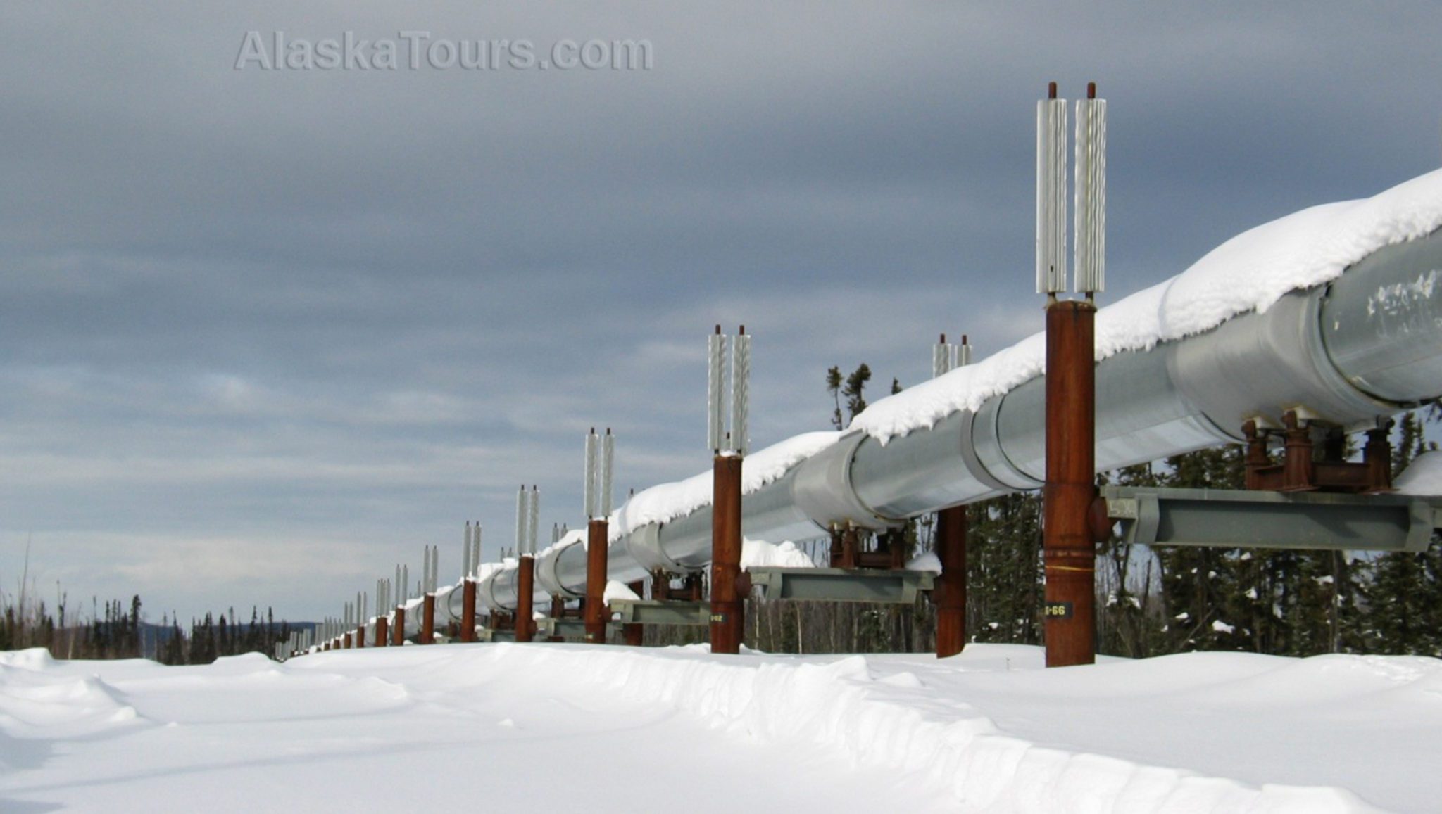 The Trans-Alaska Pipeline System: An Iconic Engineering Marvel - Alaska