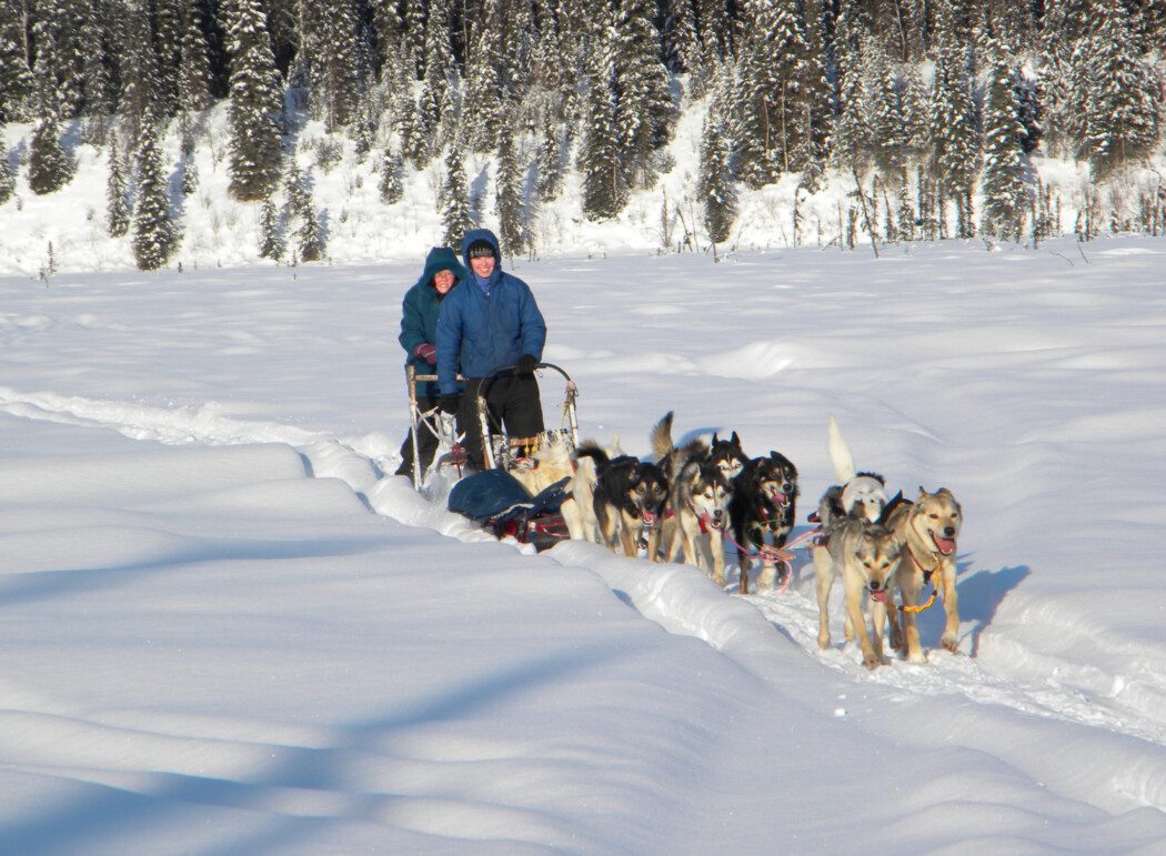 a sled dog team and musher over a snowy landscape