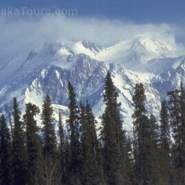 Denali, the high one, in winter.