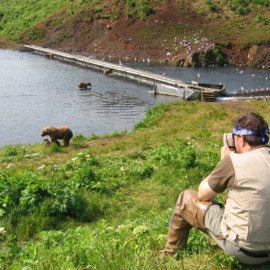 Fraser Lake bear viewing on Kodiak Island.