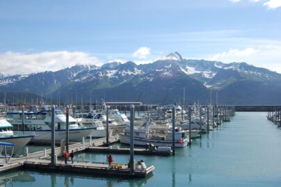 tour boats docked at the Seward Boat Harbor in Seward, Alaska; mountains in background