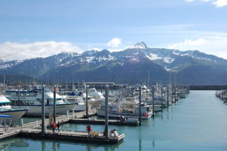 Best Things to Do in Seward, Alaska | Seward Alaska Travel Guide