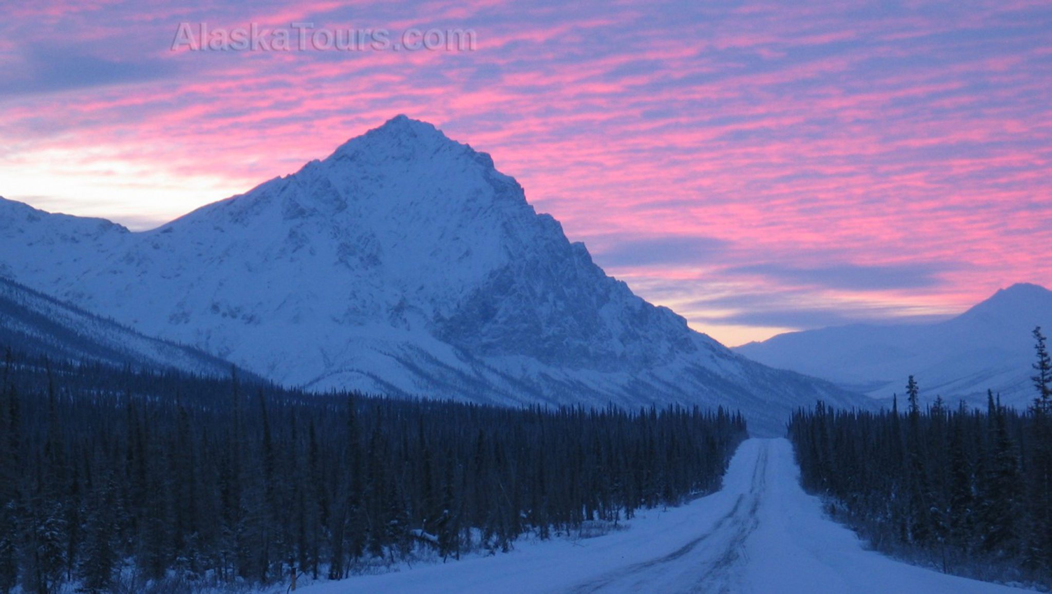 Alaska Northern Lights Van Tour | Arctic Circle, Coldfoot From Fairbanks