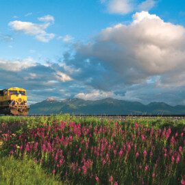 Alaska Railroad in route from Anchorage to Seward.