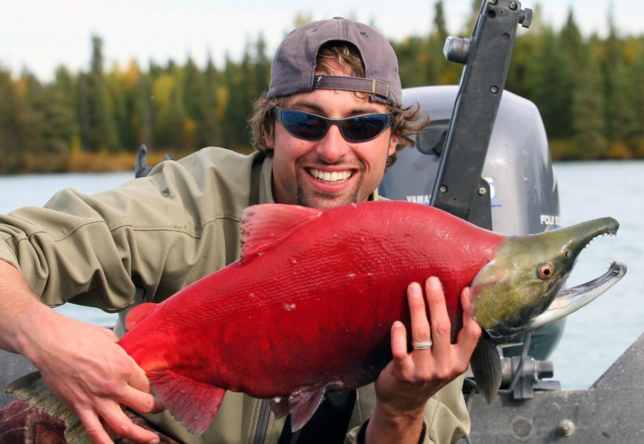 Alaska Salmon Species Sports Fishing in Alaska Alaska Fishing Lodges