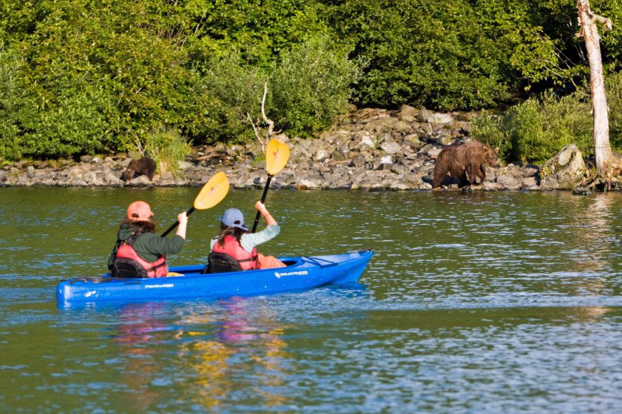 two people in a kayak on a lake looking at a brown bear on shore