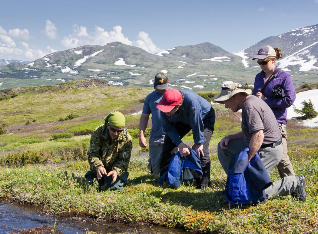 5 people on a hike looking at plants on the tundra