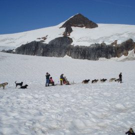 Helicopter Glacier Dogsledding Fun!