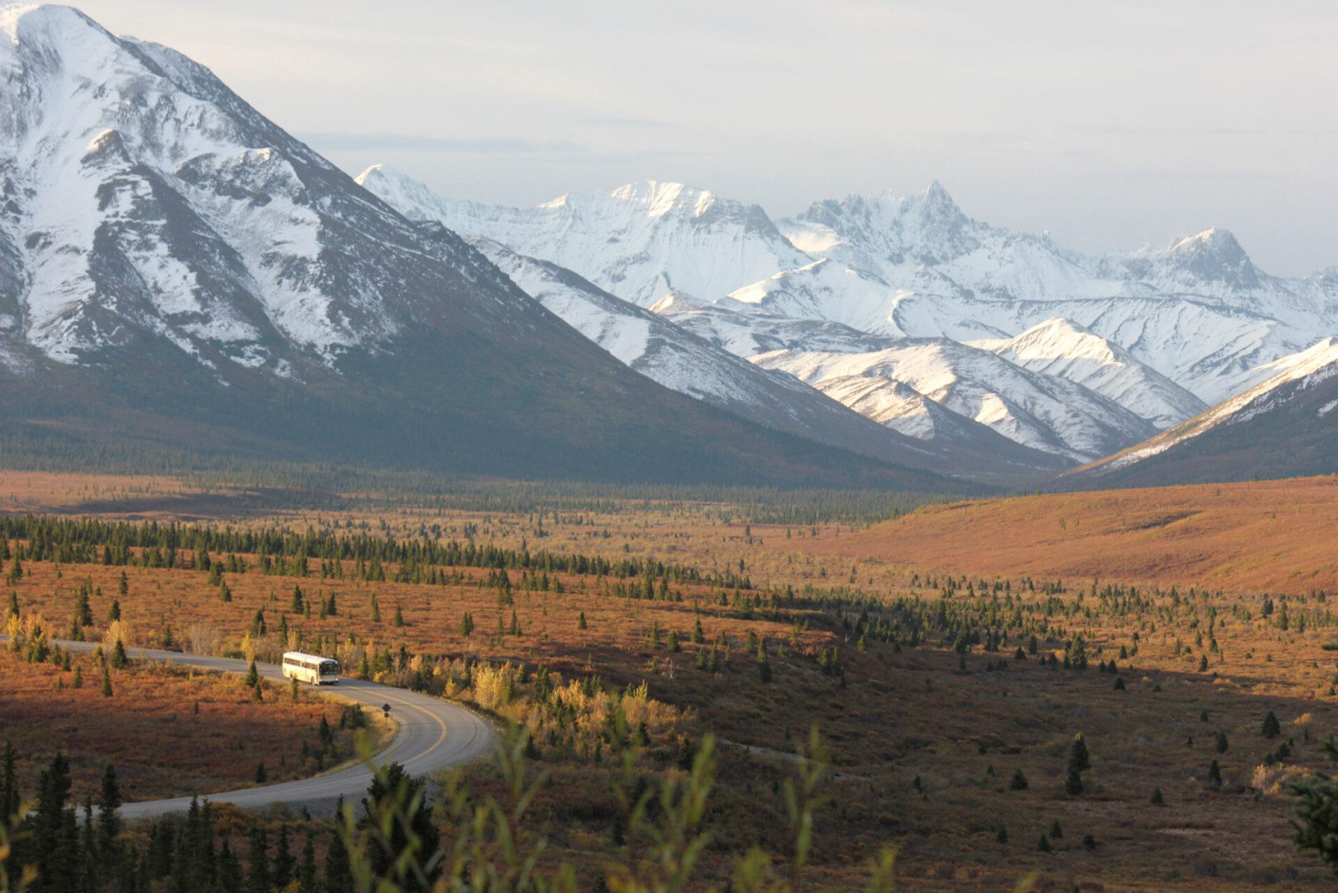 Alaska Bus Tours Guided Alaska Sightseeing Vacations