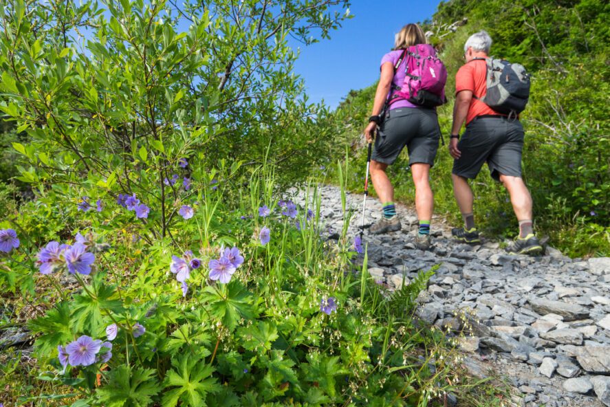 a couple hiking on a gravel trail with wild geraniums nearby