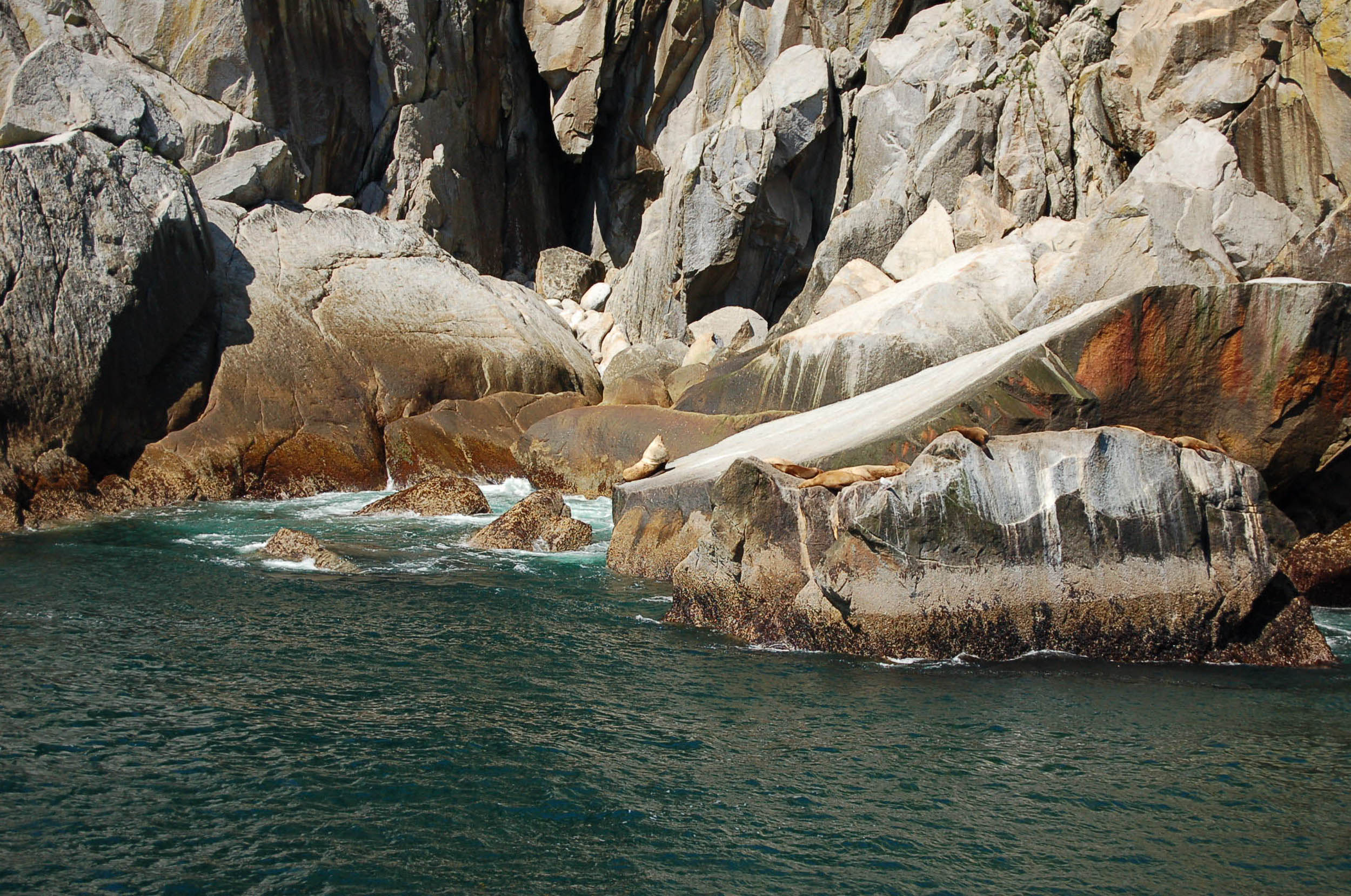 Kenai Fjords National Park Alaska Glacier and Wildlife 