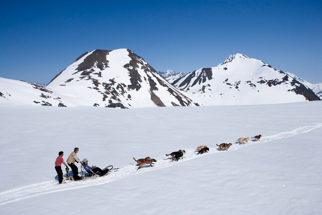 Helicopter Tour, Dogsledding Day Tour from Skagway, Alaska; Cruise Add-On