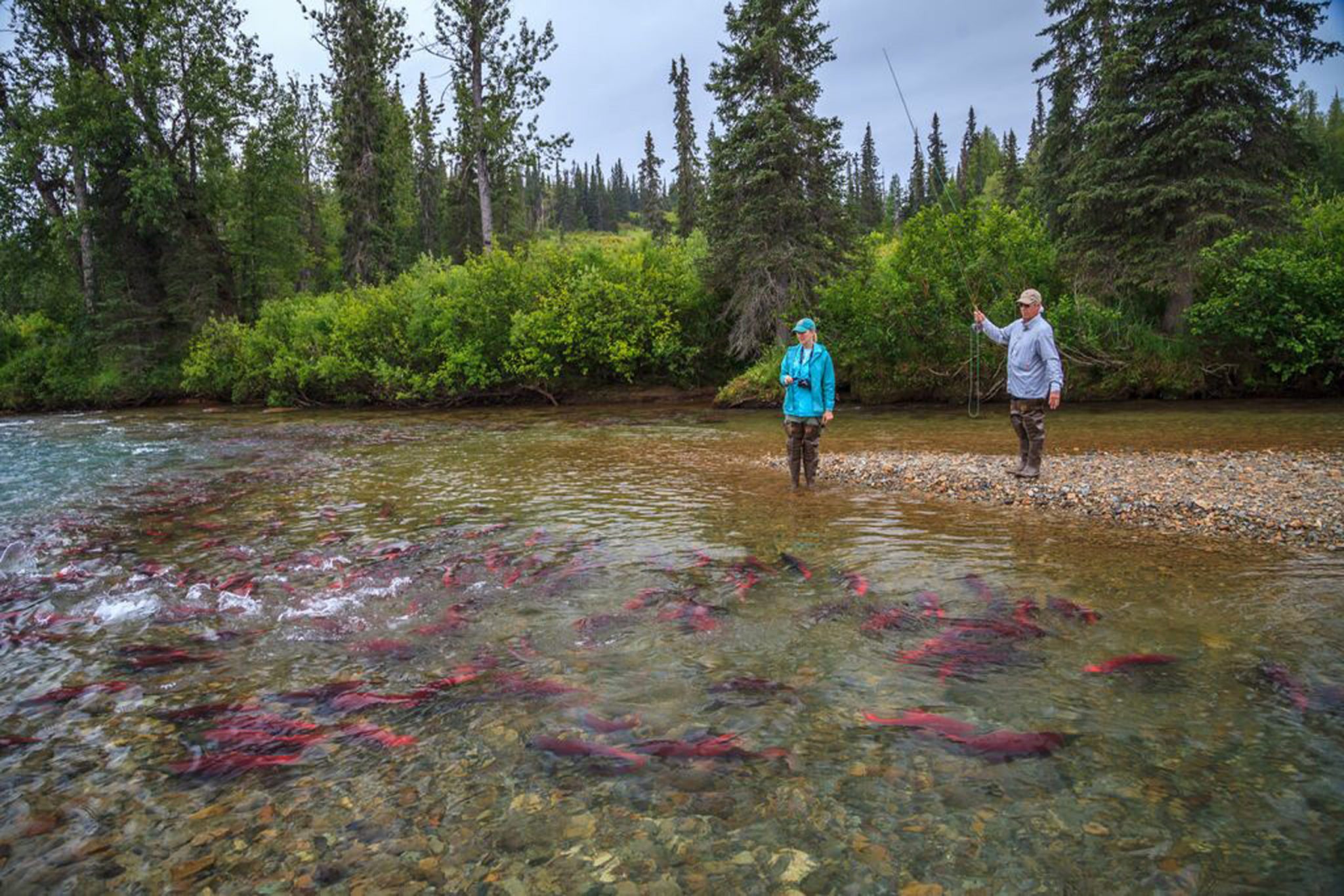 Anchorage Fly Fishing Day Trip Guided Salmon or Trout Fishing