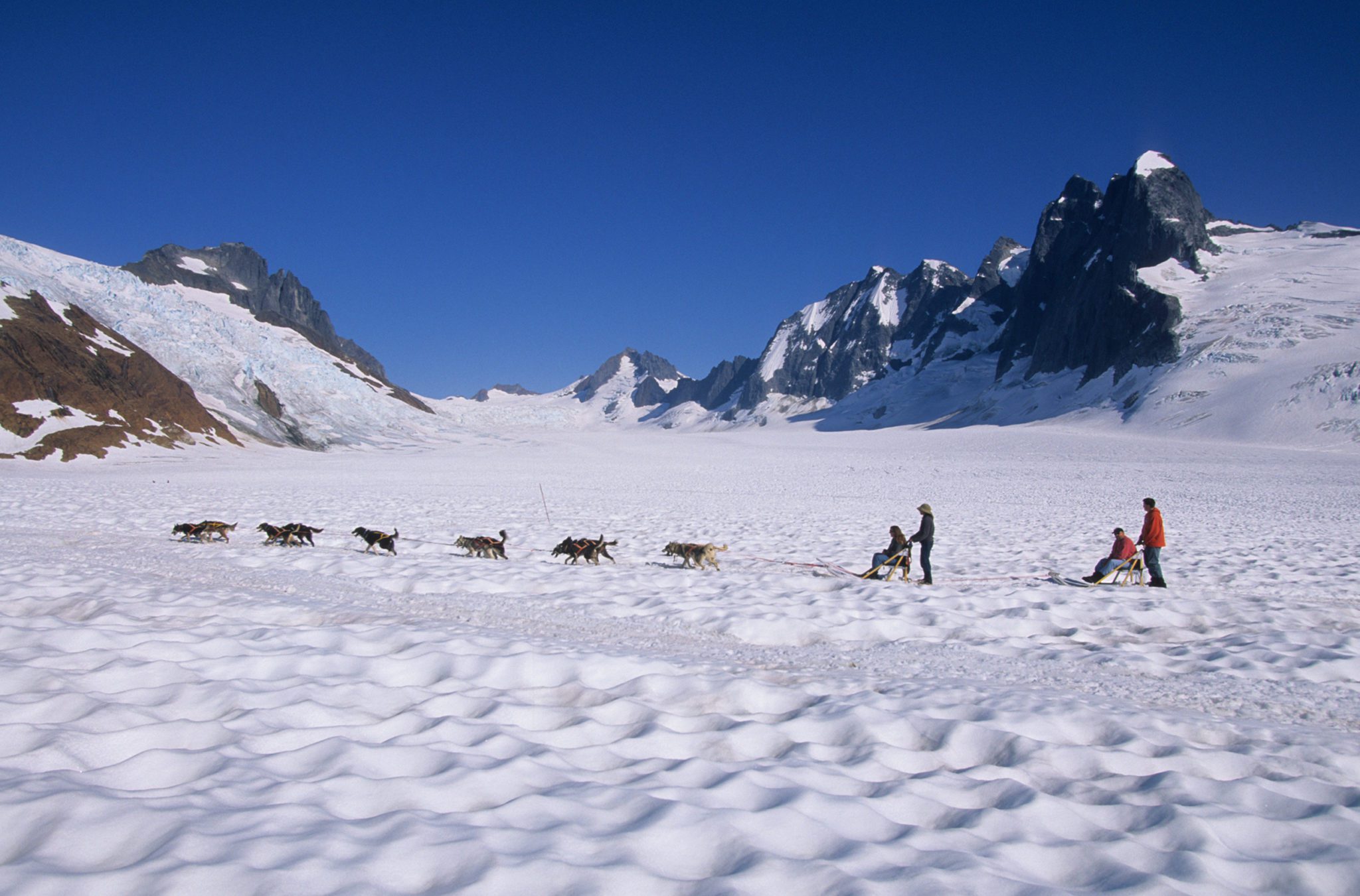 Juneau Day Tour; Dogsledding; Mendenhall Glacier