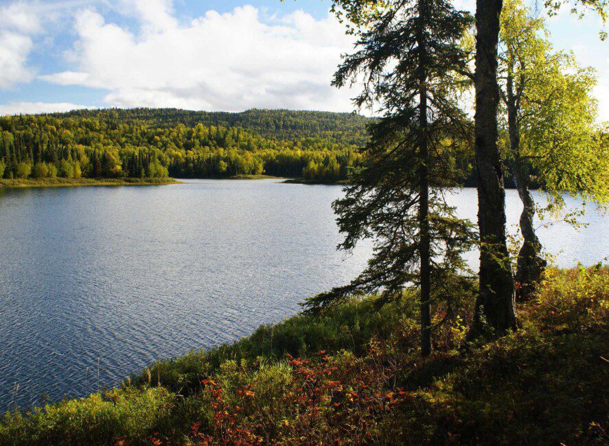 Talkeetna Day Tour | Guided Hiking | Talkeetna Alaskan Lodge