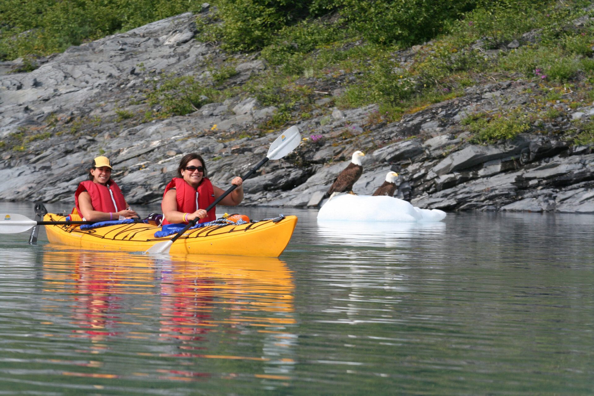 boat tours valdez alaska