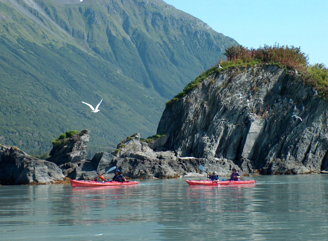 Valdez Kayaking Day Trip Duck Flats Guided Kayaking Tour