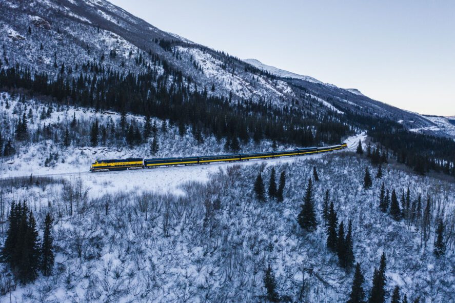 a passenger train travels through a spruce forest on a snowy hillside