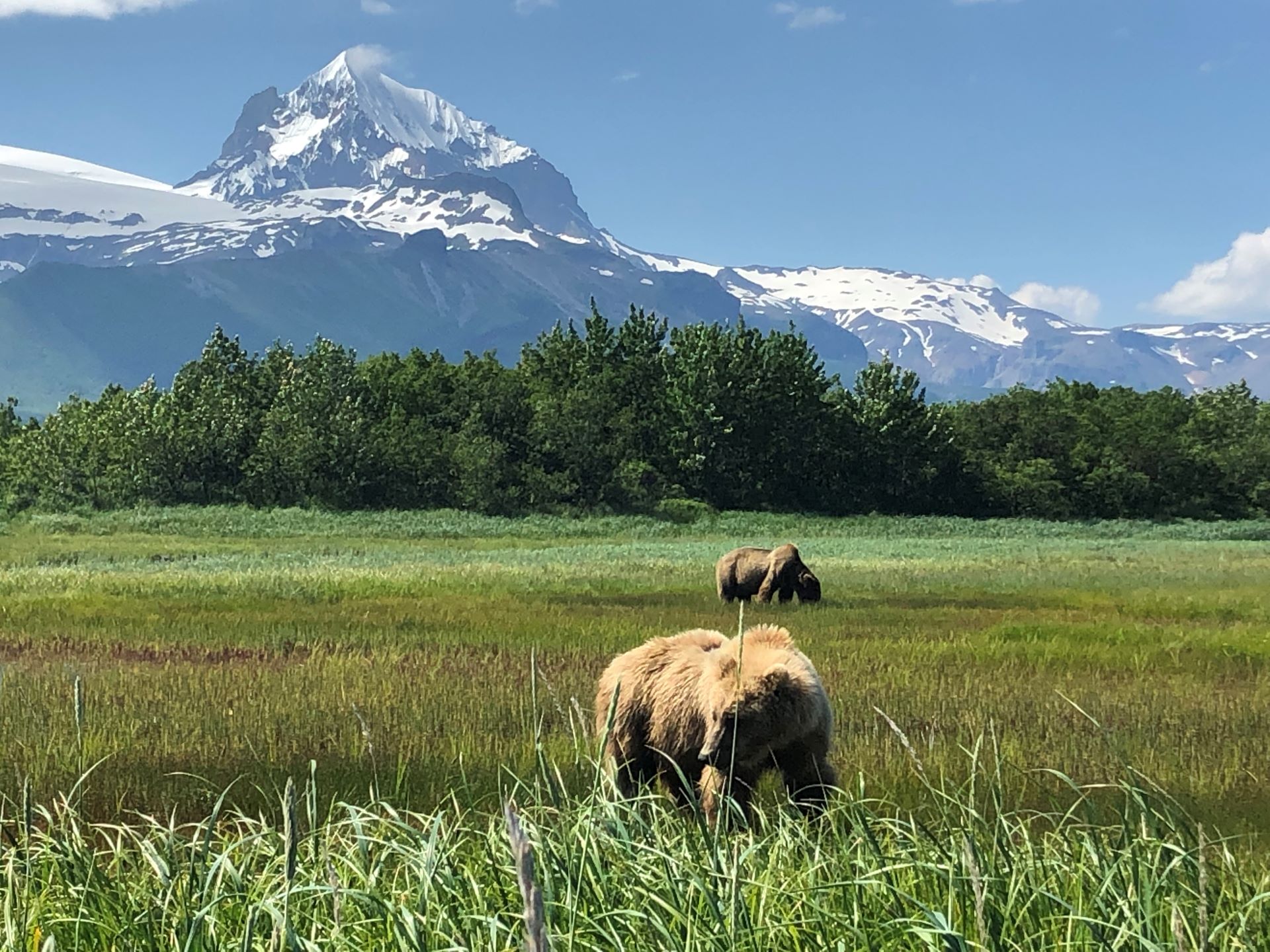 Alaska Travel: 5 Amazing Reasons to Visit in 2024