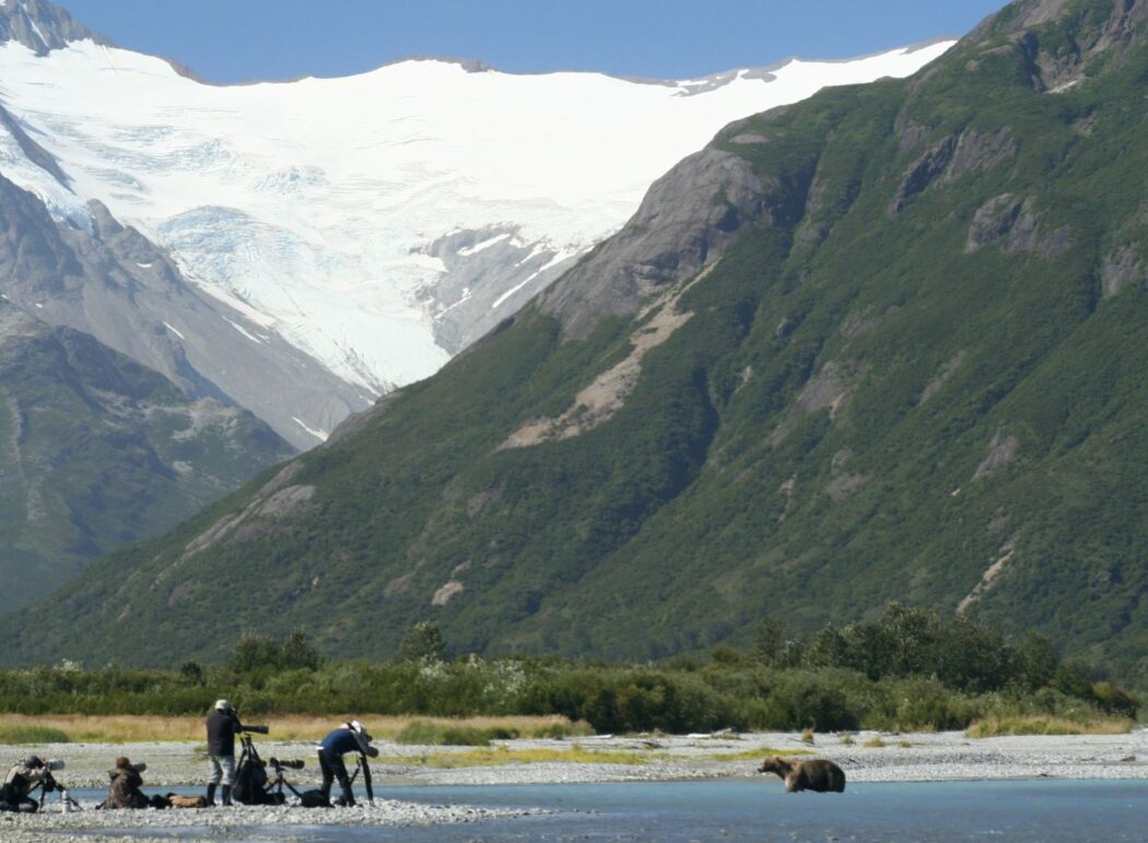 a group of people photographing a brown bear in front of mountains and a glacier