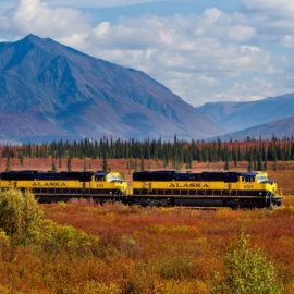 Alaska Railroad in Fall