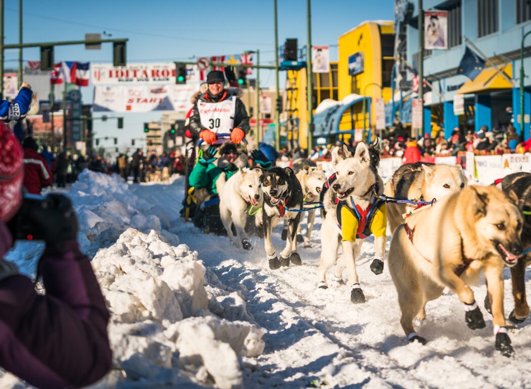 spectators along a snowy city street watch a sled dog team at the start of the Iditarod race