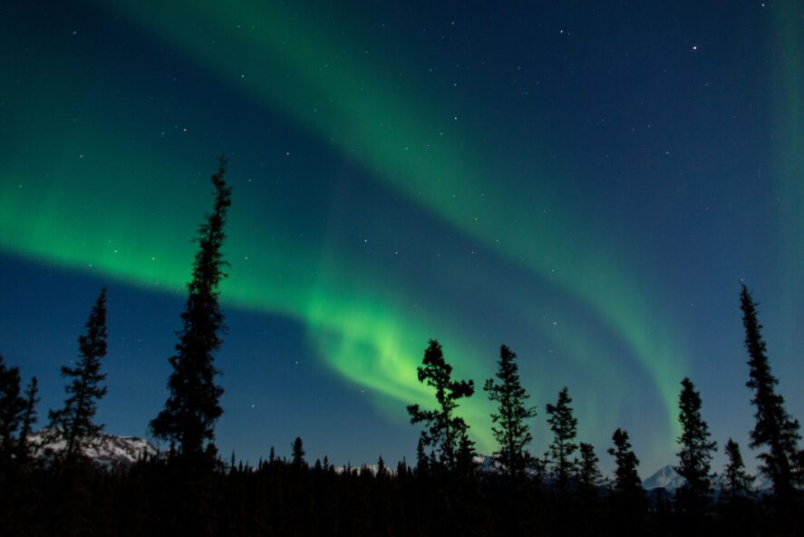 bands of green aurora over spruce trees in a in winter Alaska landscape