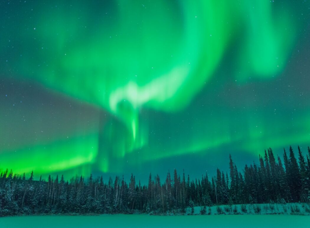green aurora over a boreal forest in winter