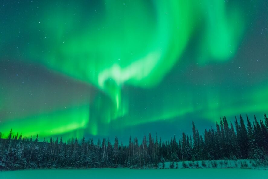 green aurora over a boreal forest in winter