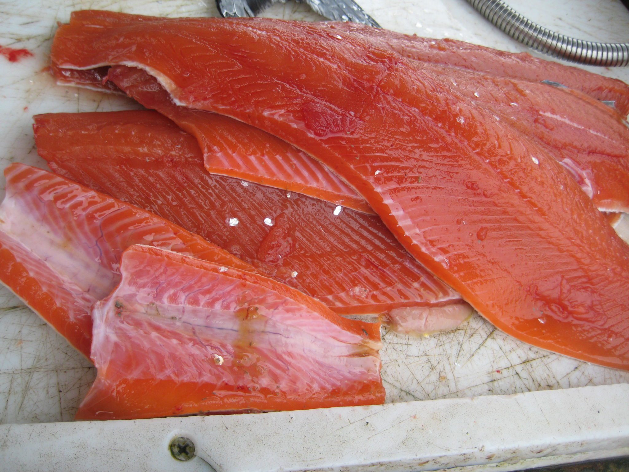 Alaska Fishing Dishes, Salmon, Halibut Favorites
