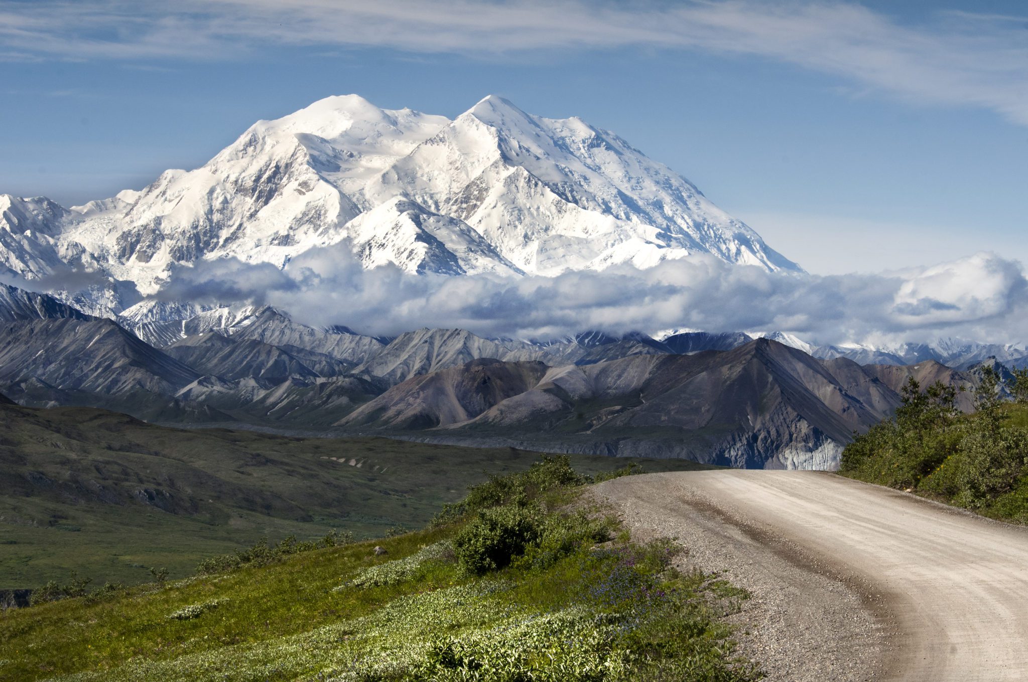 Visit Denali National Park Alaska Cruise AddOn from Seward Bus Tour