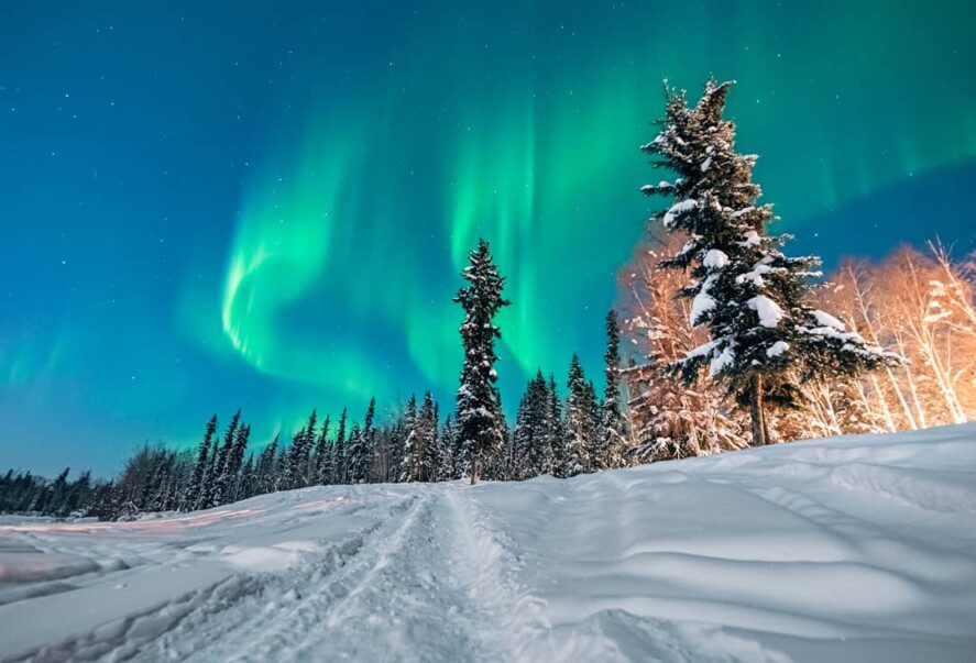 green aurora over a hill with snow and spruce trees