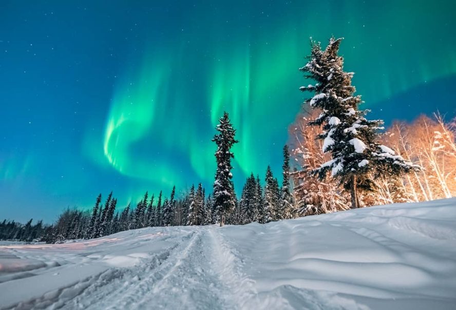 Chena Hot Springs Alaska Winter Tour Fairbanks Alaska Vacation