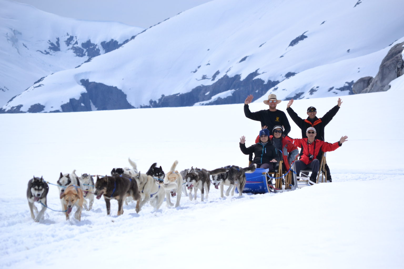 juneau alaska dog sledding tour