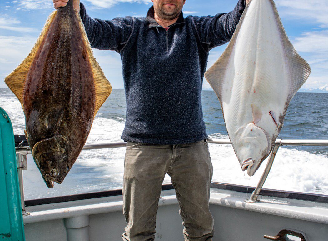 a man on a fishing charter boat holds up two halibut